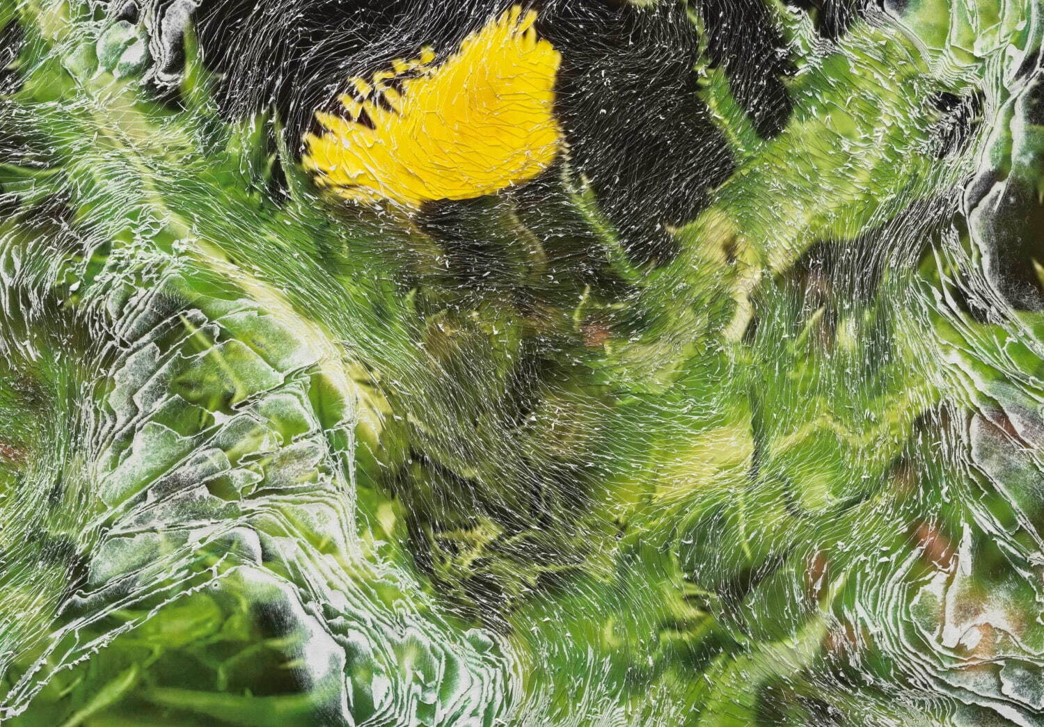 Nerhol 《Sonchus asper》 2021年 ©Nerho
 Courtesy of Yutaka Kikutake Gallery
