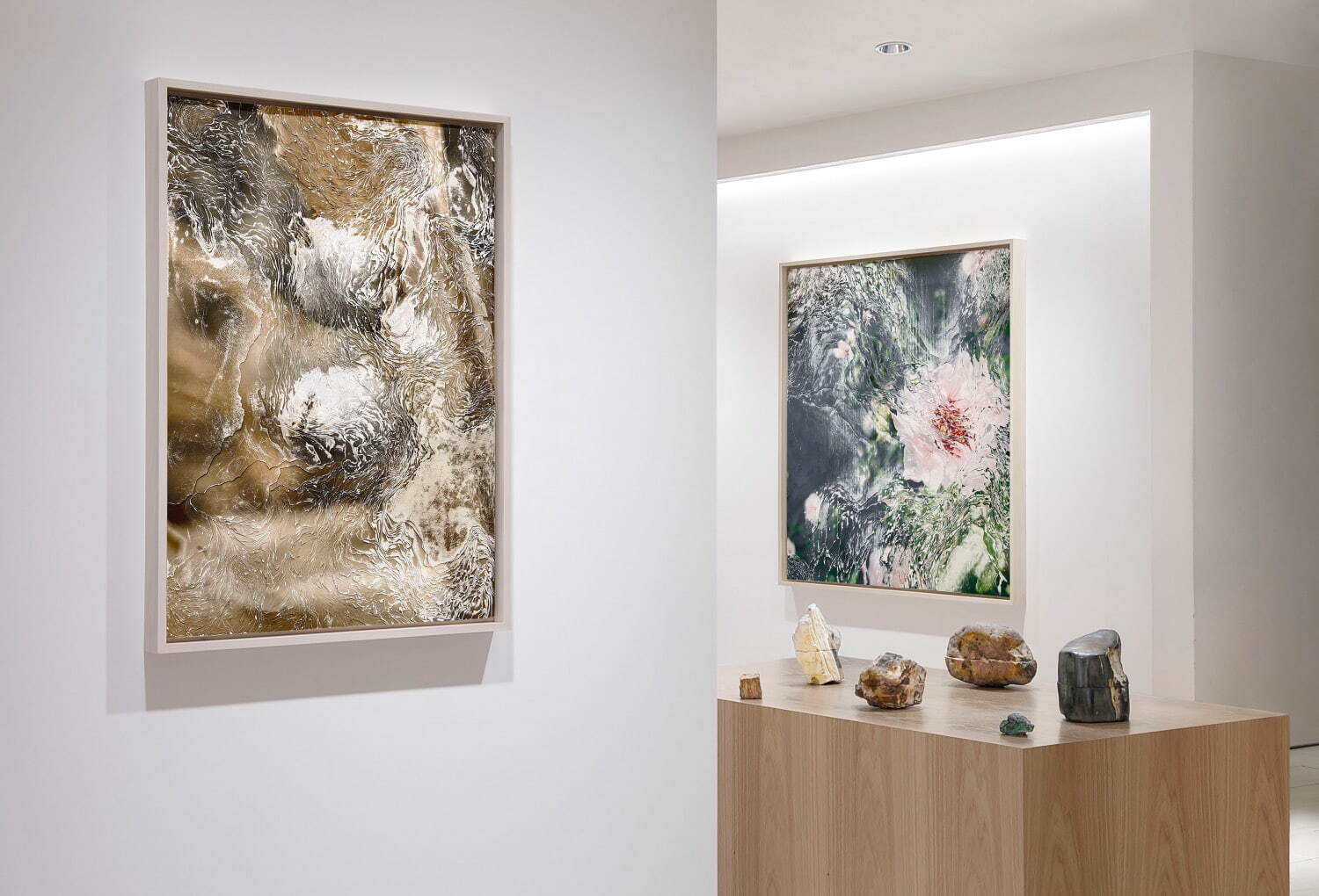 「Naturalized Species」 イセタン ザ・スペース 2022年 ©Nerhol
Photo by Daisuke Shima Photography