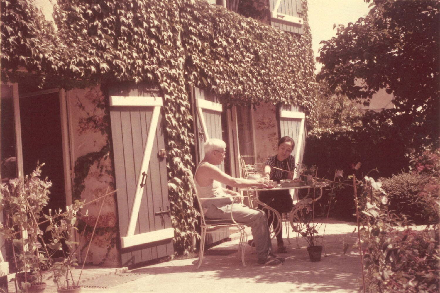 美術館｜軽井沢安東美術館「藤田嗣治の愛しきものたち」展、“藤田が愛しんだモチーフ”に着目して絵画を紹介