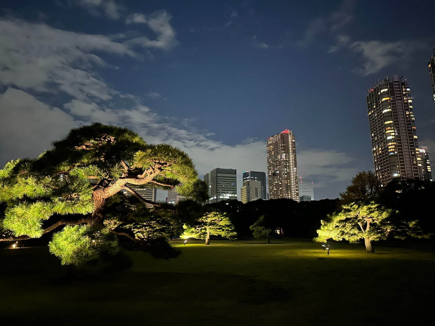 東京・浜離宮恩賜庭園で「お月見散歩」光と影の夜間ライトアップやお月見スイーツ｜写真4