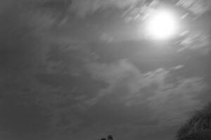 コモリ(COMOLI) 2024-25年秋冬メンズコレクション  - 写真19