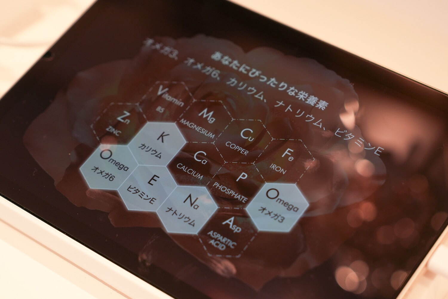 ディオール プレステージの体験型イベント、ヒルズハウス麻布台が“ローズの世界”に｜写真25