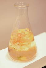 ディオール プレステージの体験型イベント、ヒルズハウス麻布台が“ローズの世界”に｜写真17