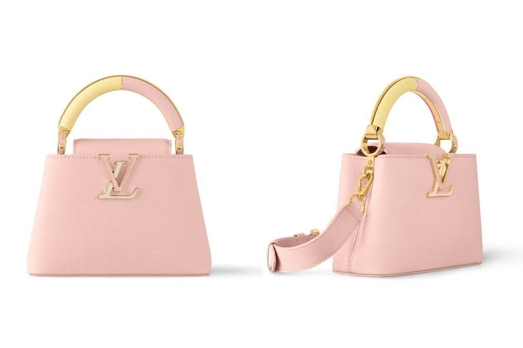 【希少♡】Louis Vuitton アイコンバッグ フェミニン ルイ・ヴィトンのアイコンバッグ「カプシーヌ」カラーブロックを