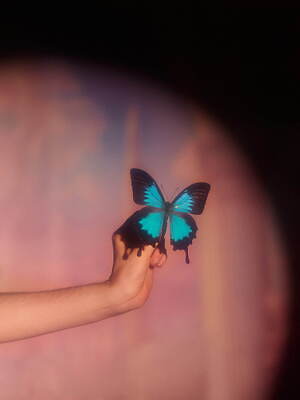 オーバーレース(overlace) 2025年春夏ウィメンズコレクション  - 写真17