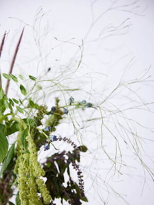 ワランス(WALANCE) 2024-25年秋冬ウィメンズコレクション  - 写真51