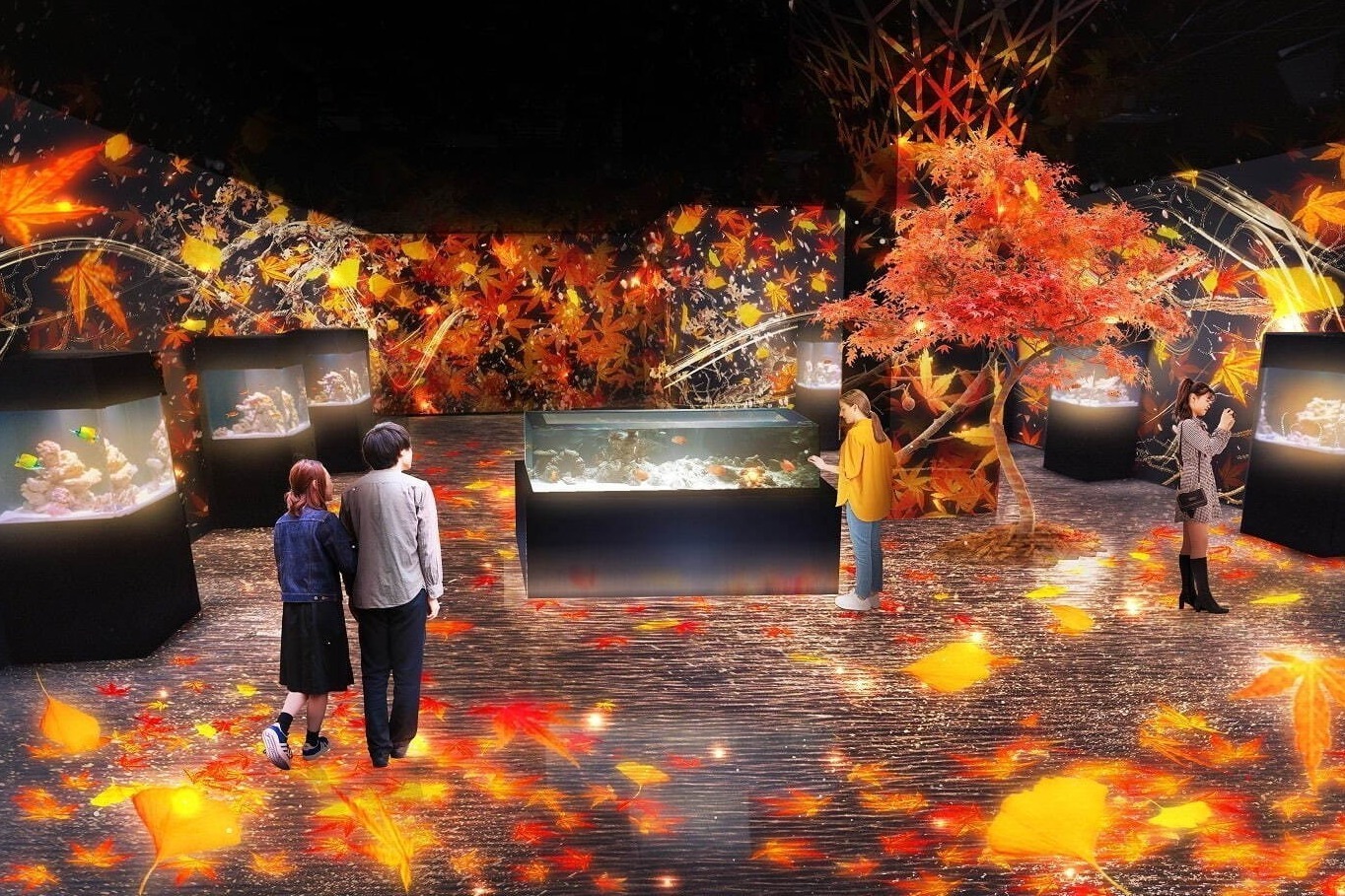 クラゲ｜マクセル アクアパーク品川“紅葉舞う”展示エリアや“満月の夜”着想のクラゲ水槽、限定イルカショーも