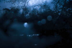 ダイワ ピア39(DAIWA PIER39) 2023-24年秋冬ウィメンズ&メンズコレクション  - 写真213