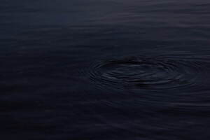 ダイワ ピア39(DAIWA PIER39) 2023-24年秋冬ウィメンズ&メンズコレクション  - 写真215