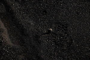 ダイワ ピア39(DAIWA PIER39) 2023-24年秋冬ウィメンズ&メンズコレクション  - 写真216