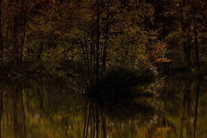 ダイワ ピア39(DAIWA PIER39) 2023-24年秋冬ウィメンズ&メンズコレクション  - 写真211