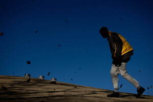 ダイワ ピア39(DAIWA PIER39) 2022-23年秋冬ウィメンズ&メンズコレクション  - 写真240