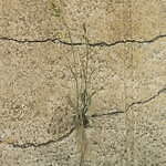 ビームス×クロックス新作シューズ、“レザーライダースやスカジャン”着想のクロッグサンダル｜写真14