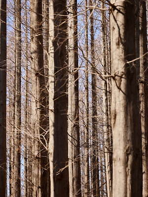 ポステレガント(POSTELEGANT) 2024-25年秋冬ウィメンズ&メンズコレクション  - 写真27