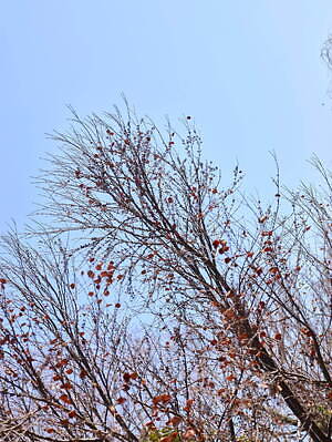 ポステレガント(POSTELEGANT) 2024-25年秋冬ウィメンズ&メンズコレクション  - 写真55