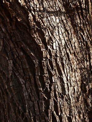 ポステレガント(POSTELEGANT) 2024-25年秋冬ウィメンズ&メンズコレクション  - 写真63