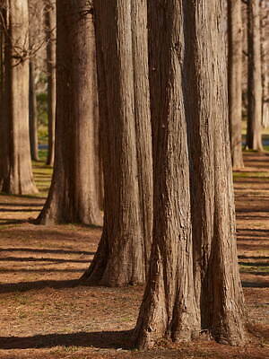 ポステレガント(POSTELEGANT) 2024-25年秋冬ウィメンズ&メンズコレクション  - 写真74