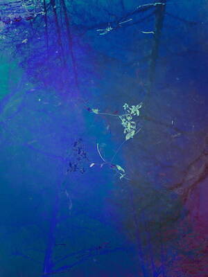 サージ(SERGE) 2024-25年秋冬ウィメンズコレクション  - 写真2