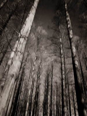 サージ(SERGE) 2024-25年秋冬ウィメンズコレクション  - 写真6