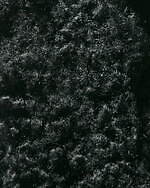 ビューティフルピープル×リプロダクションオブファウンド、もこもこボア＆スエードのミリタリースニーカー｜写真10