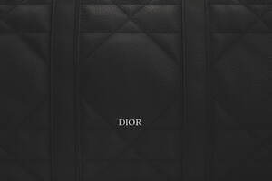 ディオール(DIOR) マキシカナージュ サドル｜写真20