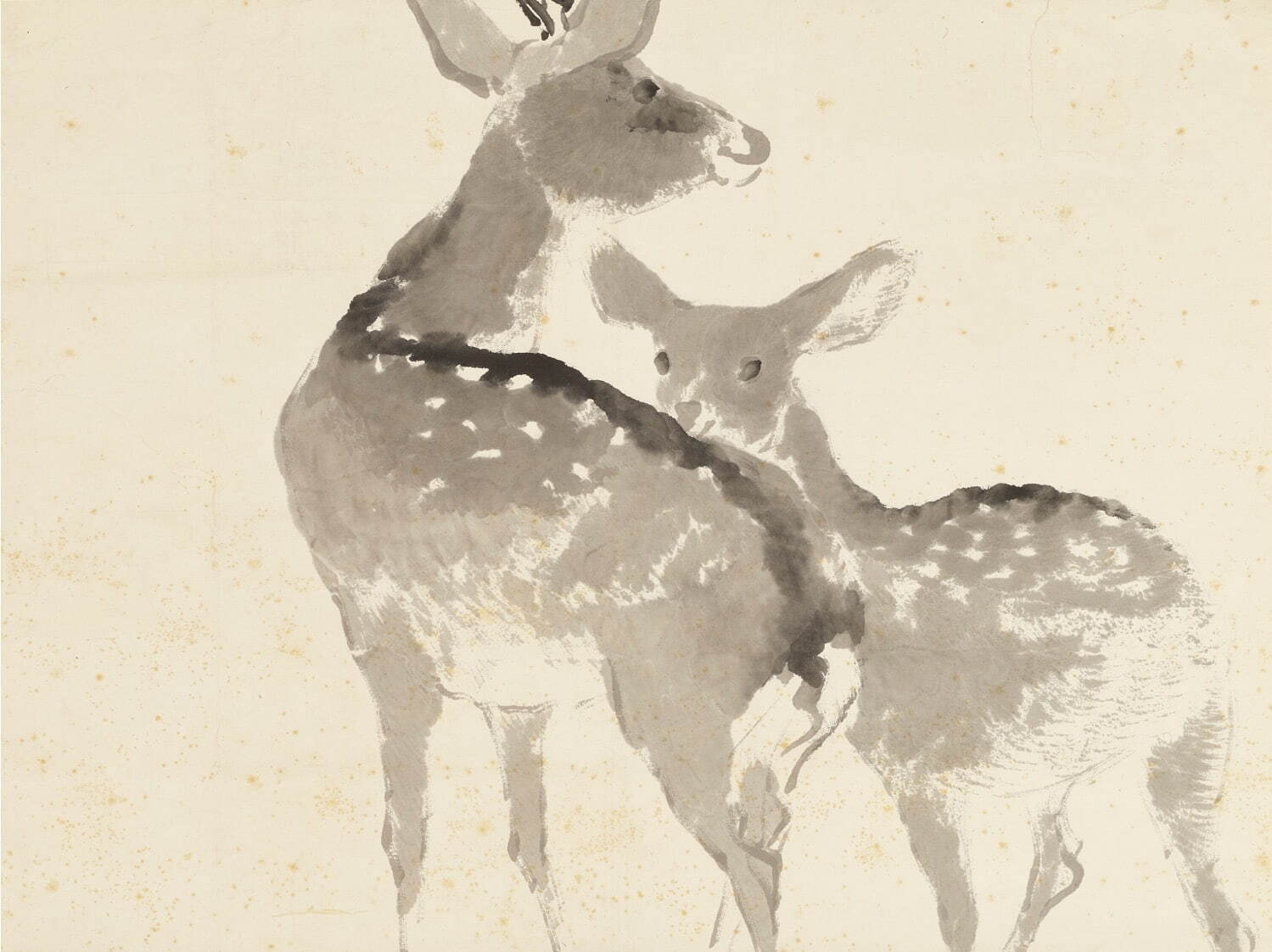 伝梅村景山 《双鹿図》 明治時代