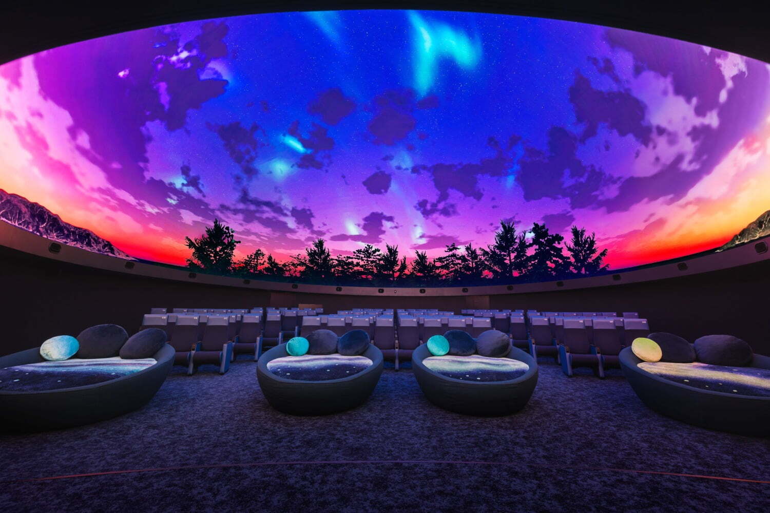 「熟睡プラ寝たリウム」