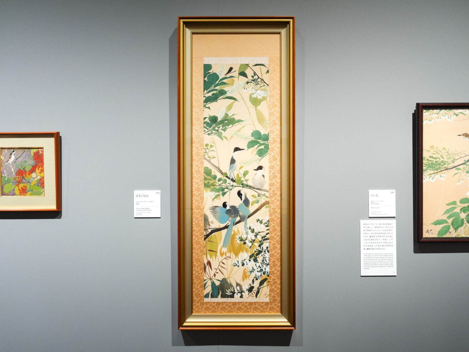 奄美の自然を描いた日本画家”田中一村、250件超の作品でたどる
