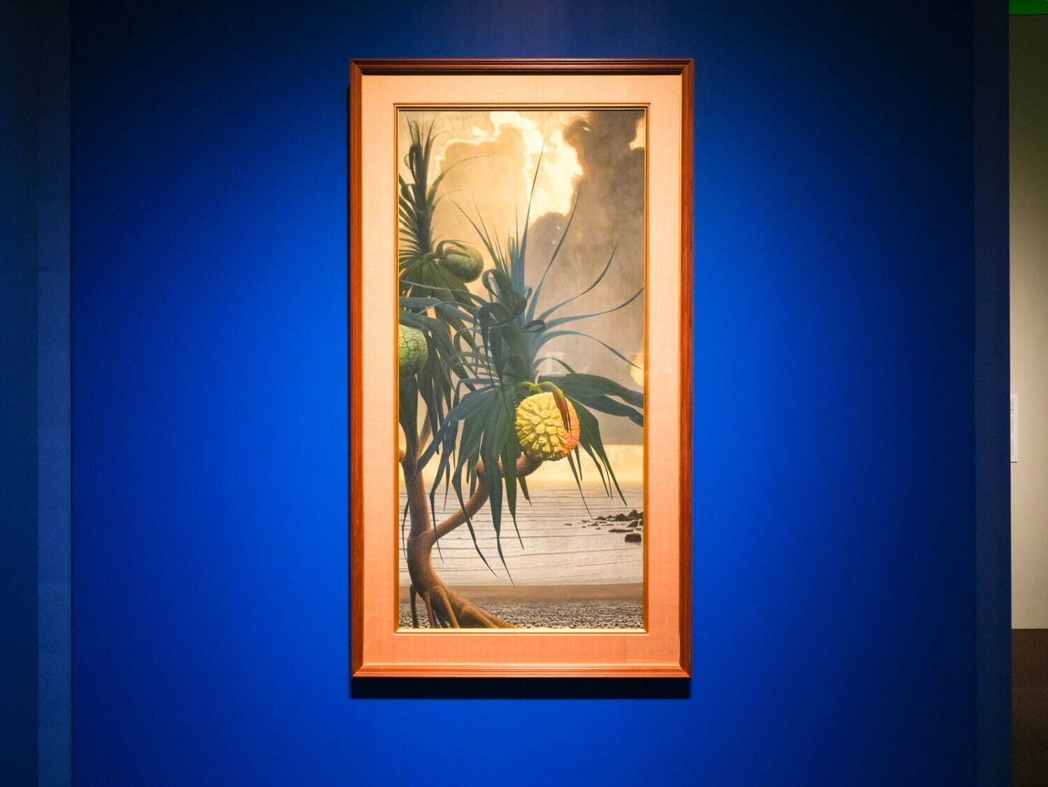 特別展「田中一村展 奄美の光 魂の絵画」 東京都美術館 2024年 展示風景