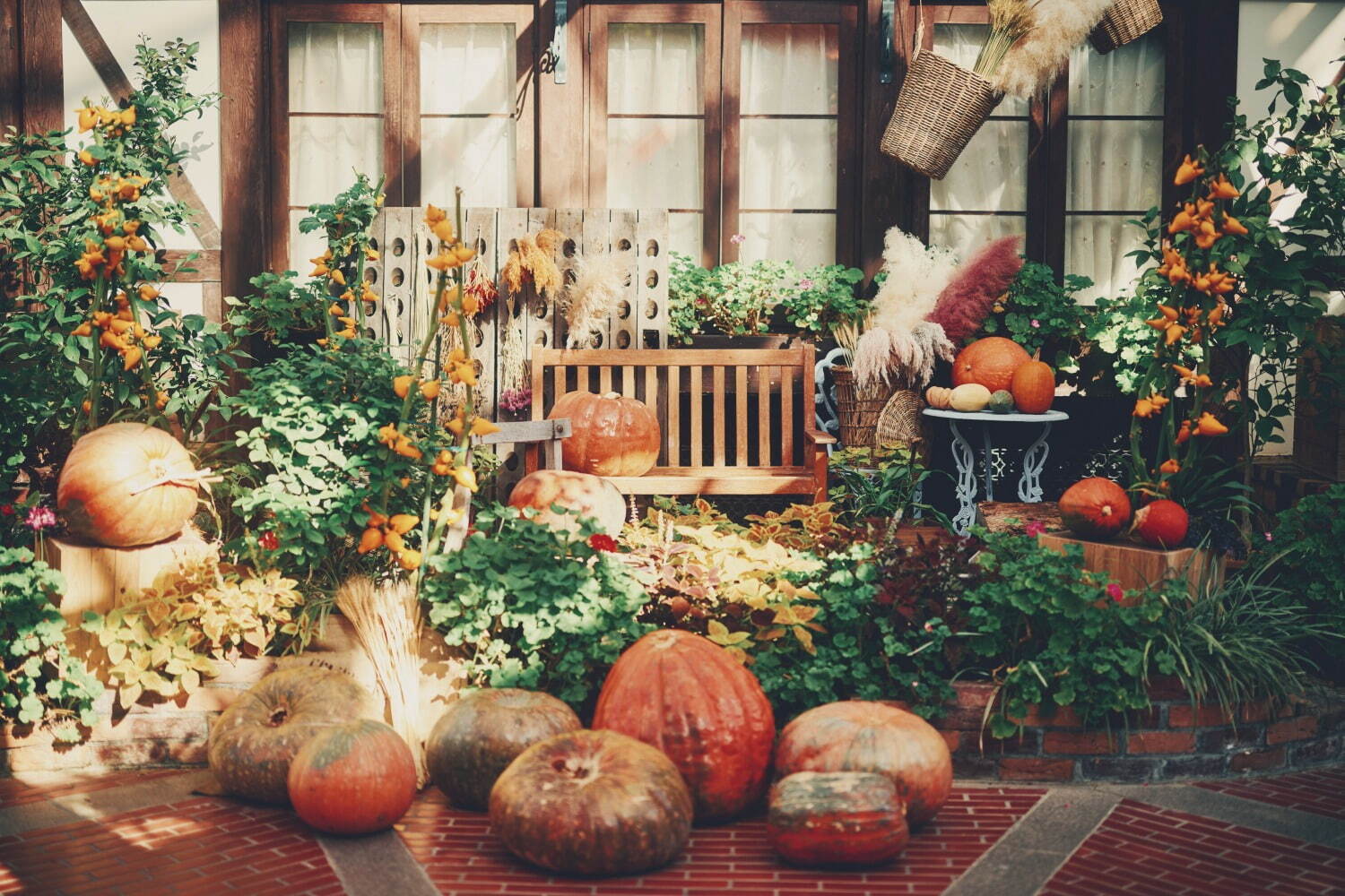 神戸布引ハーブ園「ハロウィンフェア」コキアなど秋の花々、園内にカボチャ＆“秋の収穫物”を装飾｜写真12