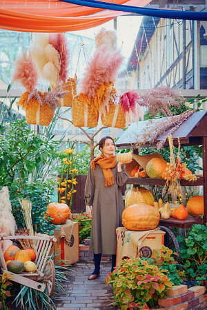 神戸布引ハーブ園「ハロウィンフェア」コキアなど秋の花々、園内にカボチャ＆“秋の収穫物”を装飾｜写真1