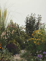 ミュベール 2025年春夏コレクション、映像作家デレク・ジャーマンと“荒野の小屋”に見るユートピア｜写真9