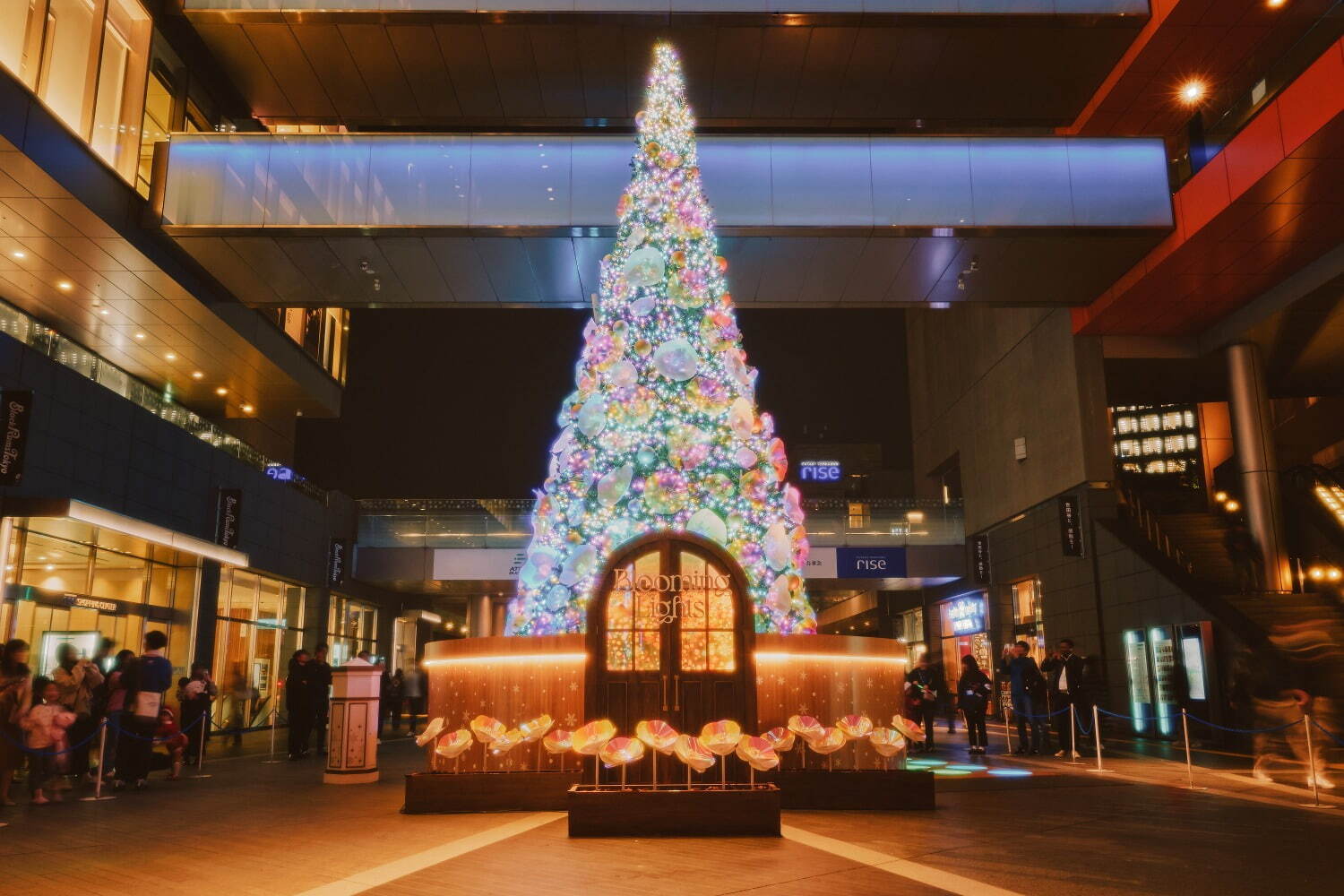 【二子玉川ライズ】“光の花”咲くクリスマスツリー＆イルミネーション