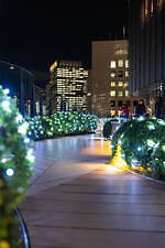 東京ミッドタウン日比谷の24年イルミネーション、ディズニー映画『モアナと伝説の海2』コラボツリーも｜写真22