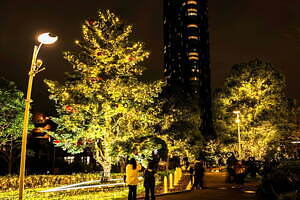 東京ミッドタウンの24年イルミネーション、シャボン玉＆雪のふんわり舞う演出や幻想的な光｜写真4