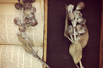 スズキタカユキ