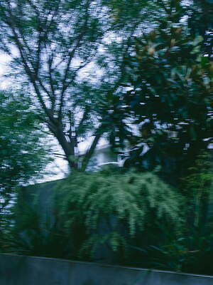 サハラ(sa ha ra) 2024-25年秋冬ウィメンズコレクション  - 写真21