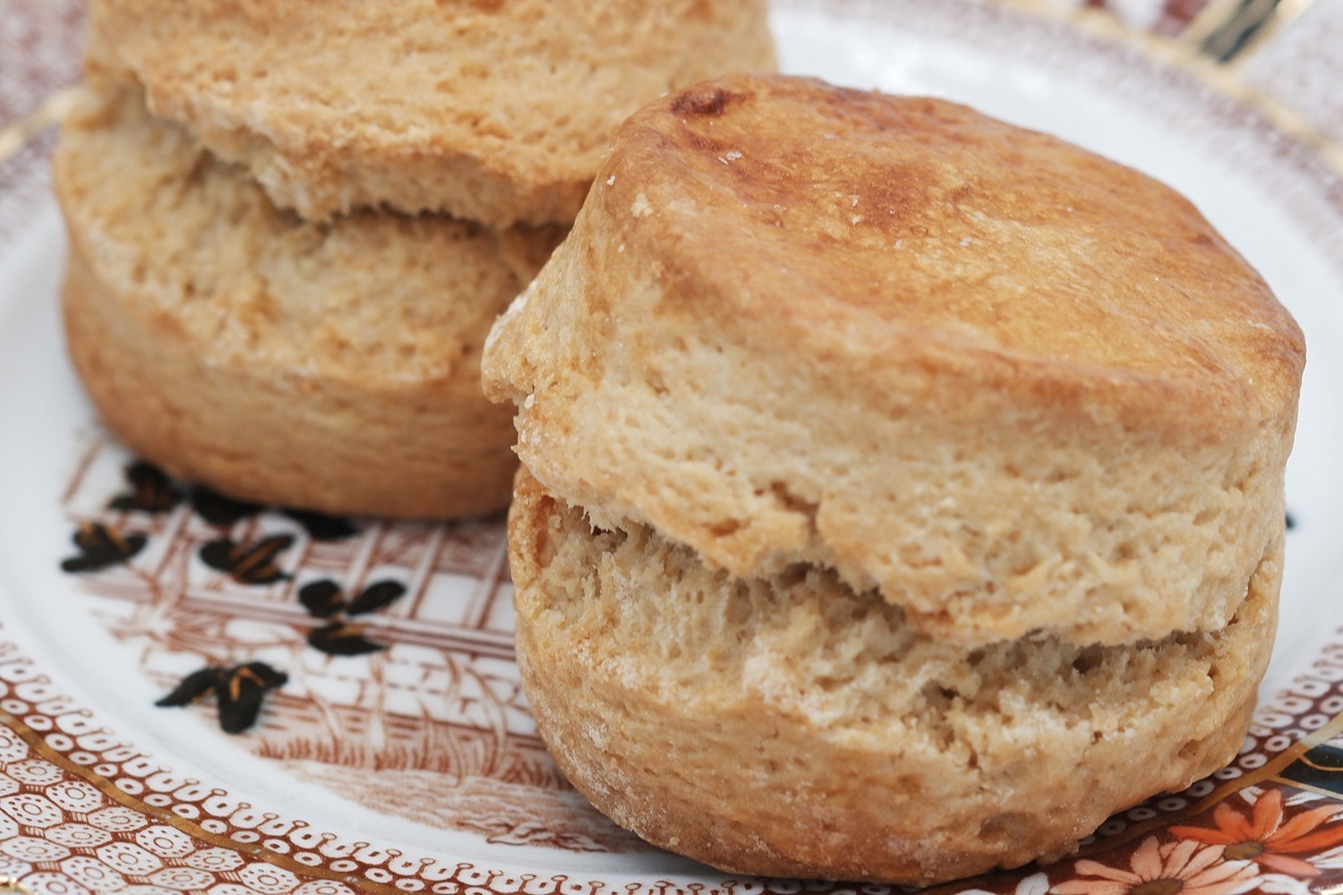 スコーン｜スコーン＆ティーが伊勢丹立川店に集結 - 濃厚ミルクティースコーンや食事系、相性抜群の茶葉も