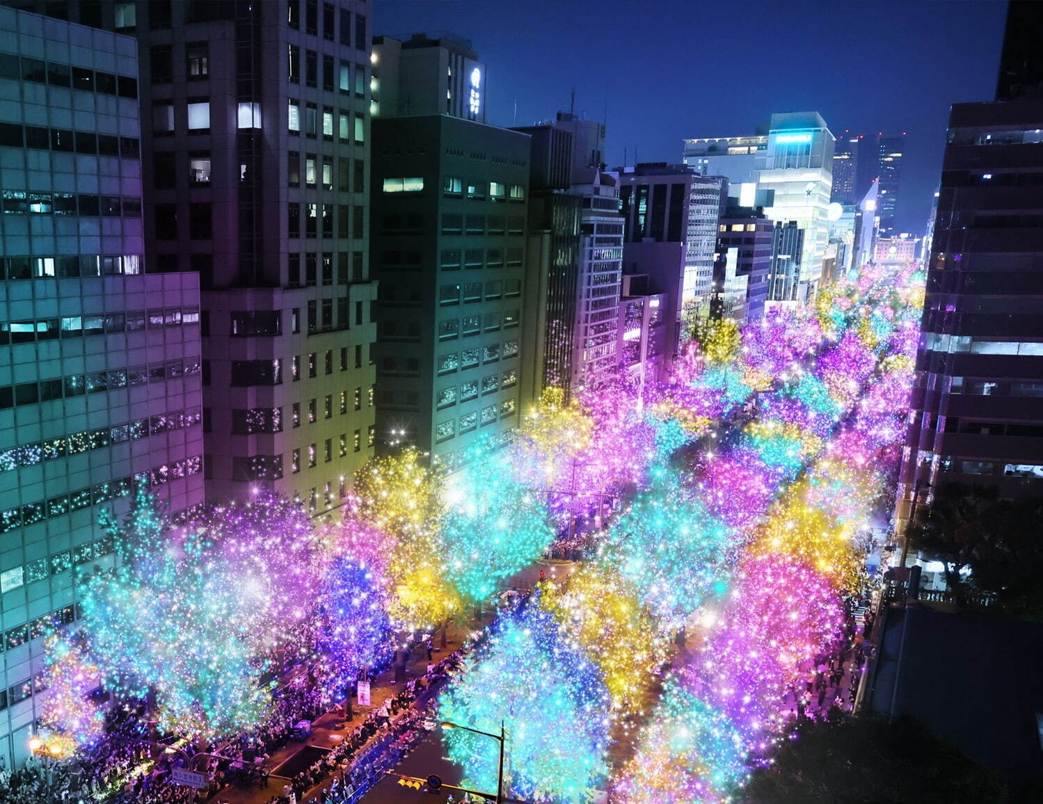【大阪・梅田～難波】御堂筋イルミネーション2024