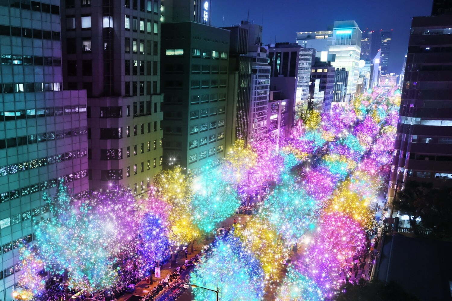 デジタル｜「大阪・光の饗宴2024」御堂筋＆中之島でイルミネーション、ライトアップなど大阪駅近辺や市外でも