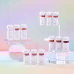 ティルナス(tilnus) ティルナス(tilnus)｜写真2