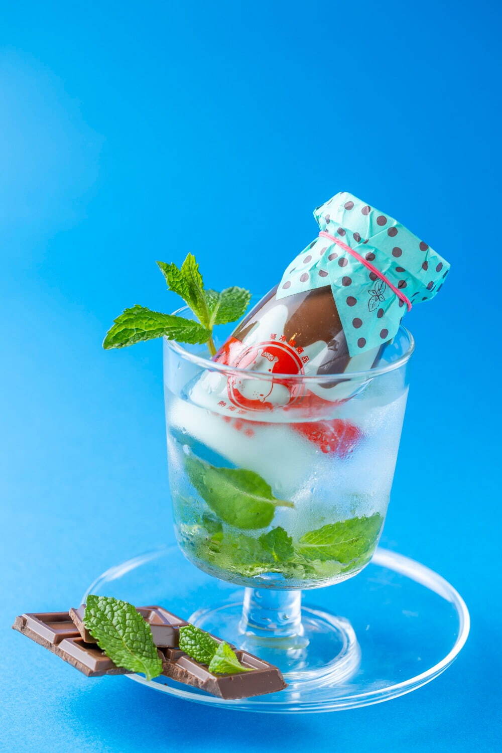 熱海プリン全店
チョコミントプリン 480円