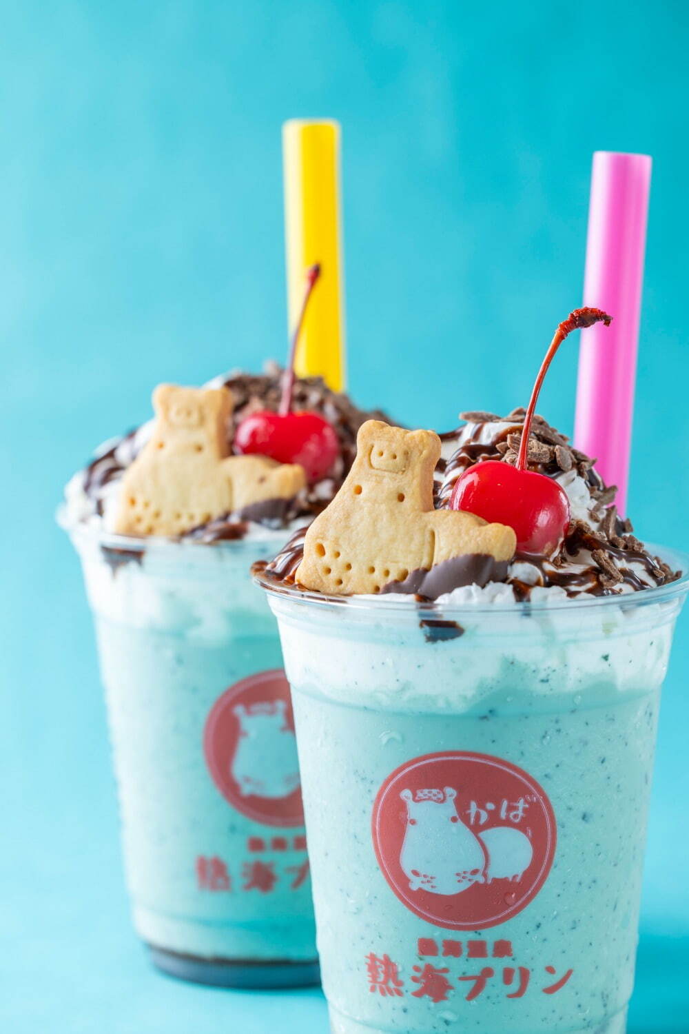 熱海プリンカフェ 2nd
チョコミントプリンプラッペ 780円※2025年6月13日(金)～通期発売