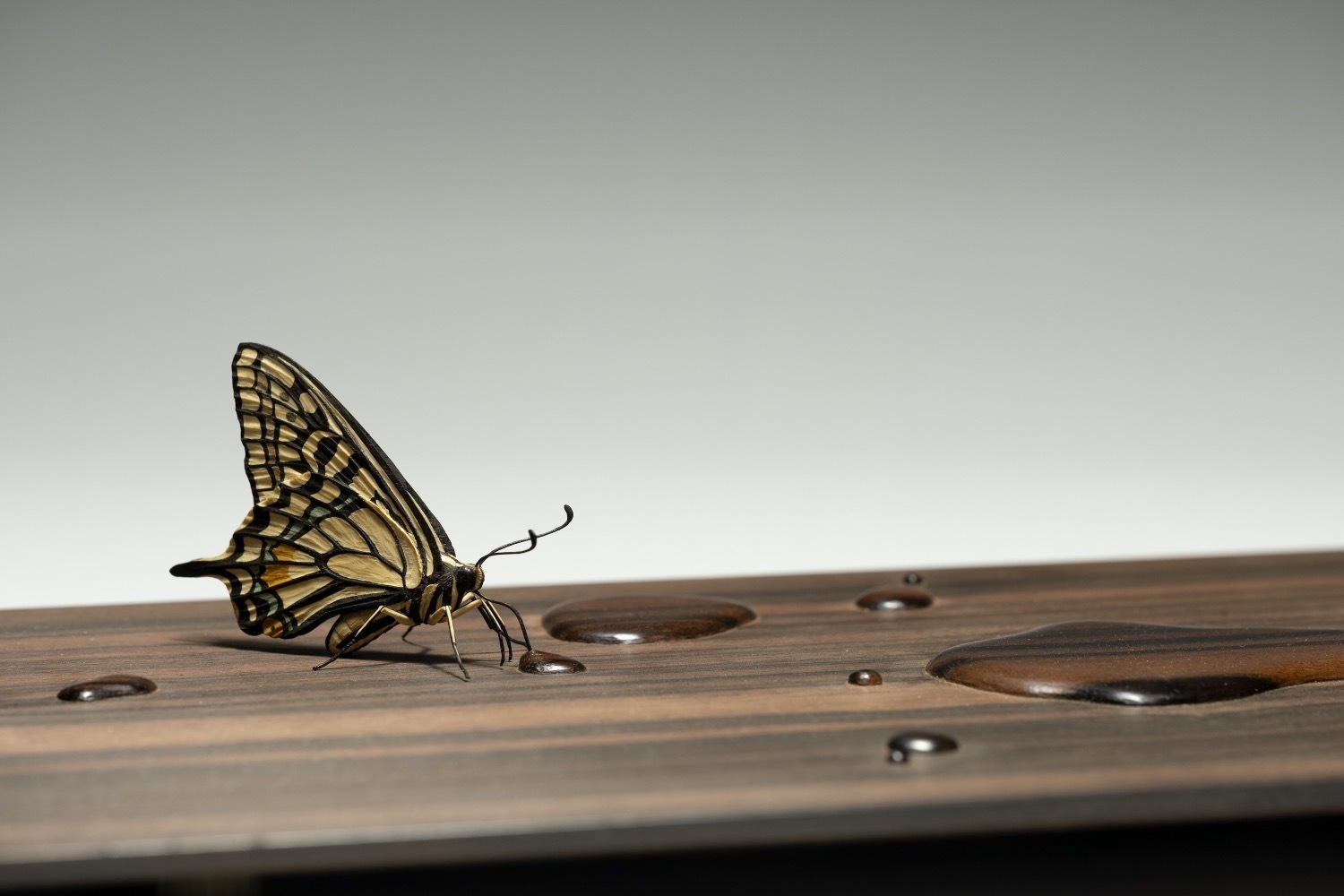 巡回展｜特別展「超絶技巧、未来へ！」山梨県立美術館で - 現代作家17名による工芸＆明治工芸の逸品約120点