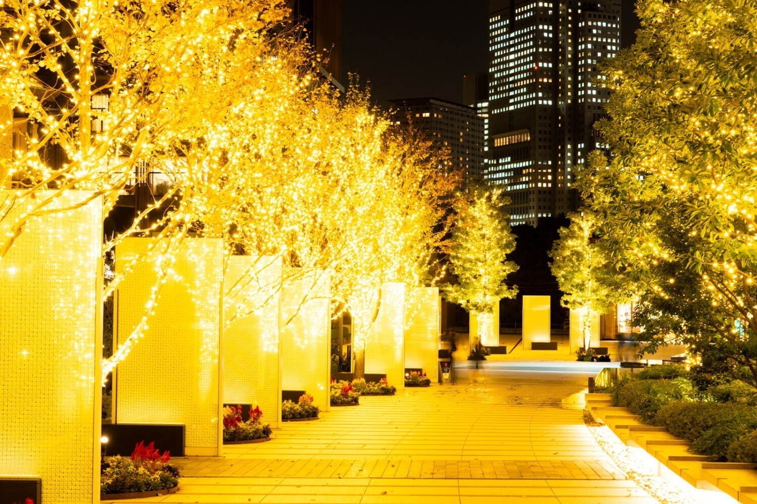 「東京・関東のイルミネーション2024-25冬」クリスマスデート＆年末年始におすすめのイベント｜写真47