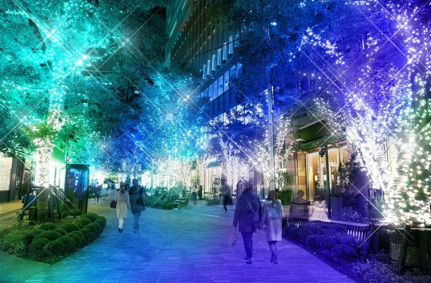 「東京・関東のイルミネーション2024-25冬」クリスマスデート＆年末年始におすすめのイベント｜写真14