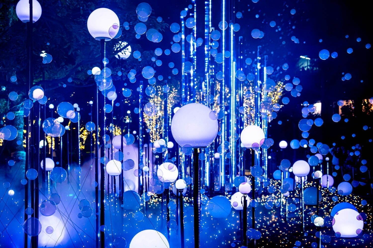 「東京・関東のイルミネーション2024-25冬」クリスマスデート＆年末年始におすすめのイベント｜写真33