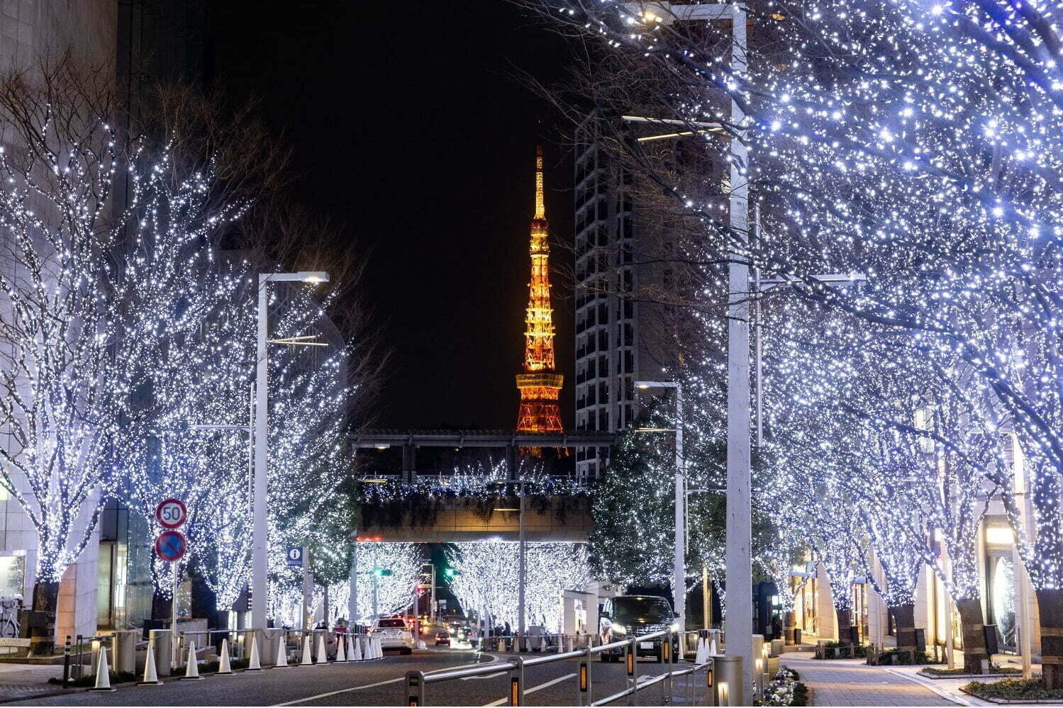 江の島｜「東京・関東のイルミネーション2024-25冬」クリスマスデート＆年末年始におすすめのイベント
