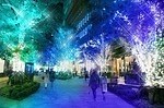 「東京・関東のイルミネーション2024-25冬」クリスマスデート＆年末年始におすすめのイベント｜写真14