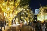 「東京・関東のイルミネーション2024-25冬」クリスマスデート＆年末年始におすすめのイベント｜写真28